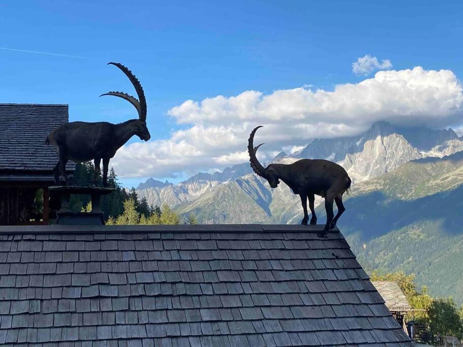 Praz Sur Arly - Proche Des Pistes Et De Megeve Leilighet Eksteriør bilde