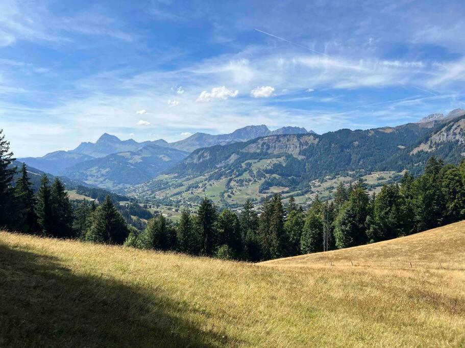 Praz Sur Arly - Proche Des Pistes Et De Megeve Leilighet Eksteriør bilde