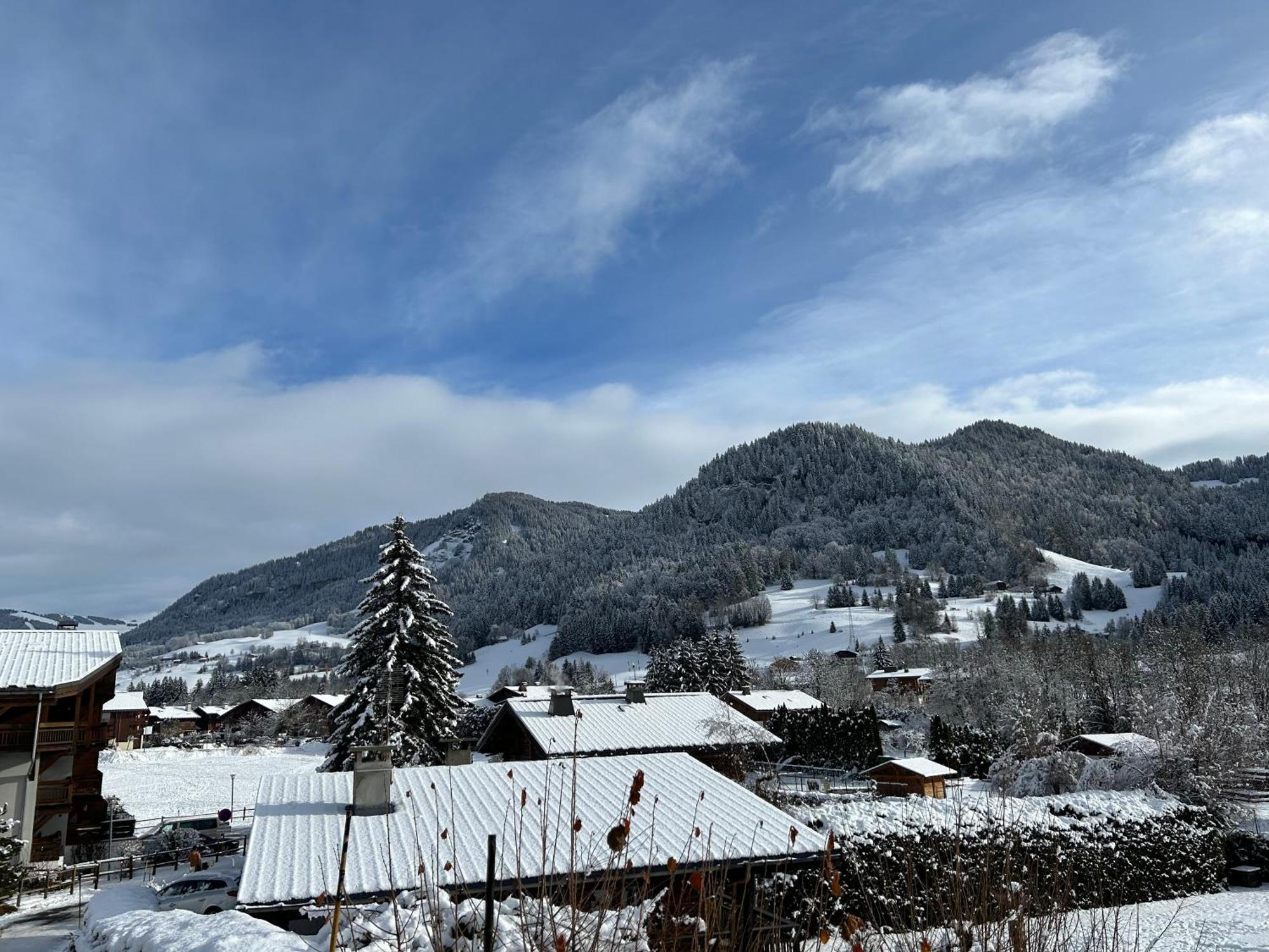 Praz Sur Arly - Proche Des Pistes Et De Megeve Leilighet Eksteriør bilde